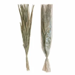 Hello Honey® 38" Dried Natural Canary Grass & Date Palm Bunch