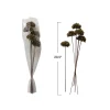Hello Honey Dried Natural Sesame Flower Bunch, Green
