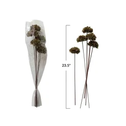 Hello Honey Dried Natural Sesame Flower Bunch, Green
