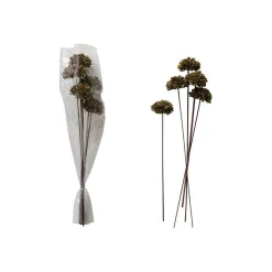 Hello Honey Dried Natural Sesame Flower Bunch, Green