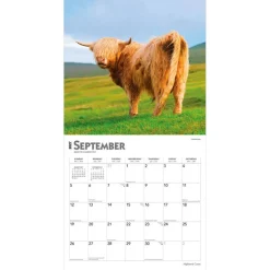Highland Cows | 2027 12 x 24 Inch (Hanging) Monthly Square Wall Calendar | Plastic-Free