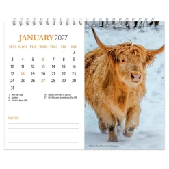Highland Cows | 2027 7.5 x 6 Inch Monthly Double-View Easel Desk Calendar