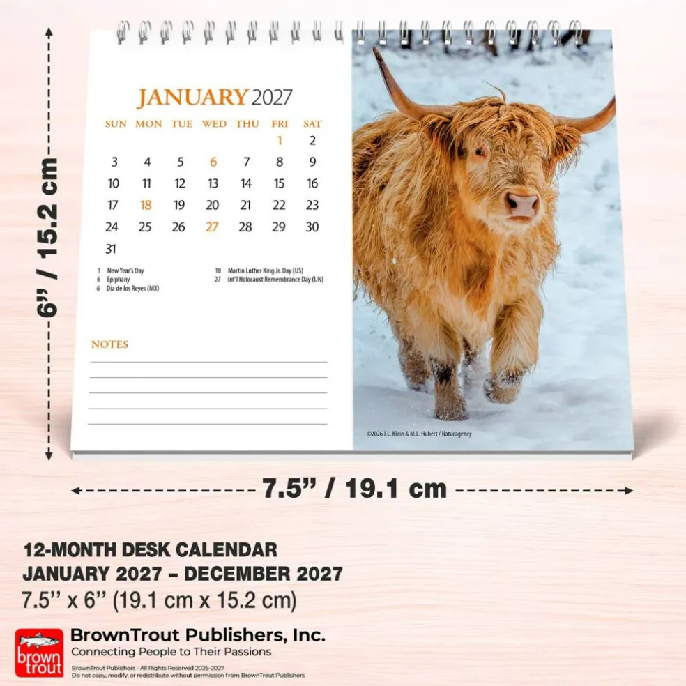 Highland Cows | 2027 7.5 x 6 Inch Monthly Double-View Easel Desk Calendar