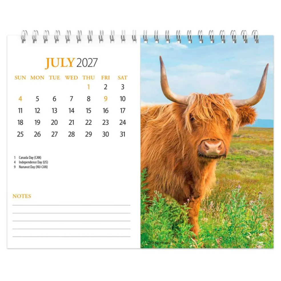Highland Cows | 2027 7.5 x 6 Inch Monthly Double-View Easel Desk Calendar