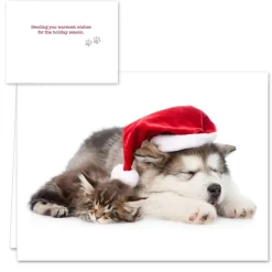 Hortense B. Hewitt Co. Christmas Cats Holiday Cards