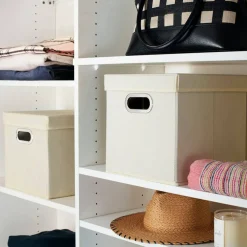 Household Essentials Storage Bins with Lids, 2ct.