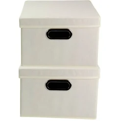 Household Essentials Storage Bins with Lids, 2ct.