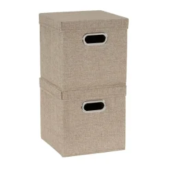 Household Essentials Storage Bins with Lids, 2ct.