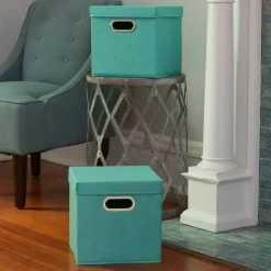 Household Essentials Storage Bins with Lids, 2ct.