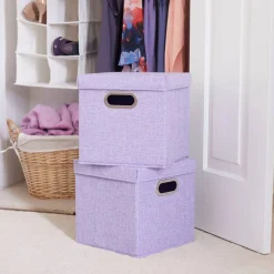 Household Essentials Storage Bins with Lids, 2ct.