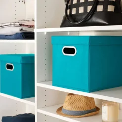 Household Essentials Storage Bins with Lids, 2ct.