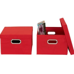 Household Essentials Storage Bins with Lids, 2ct.