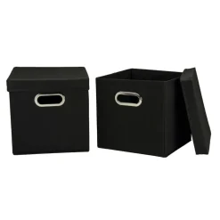 Household Essentials Storage Bins with Lids, 2ct.