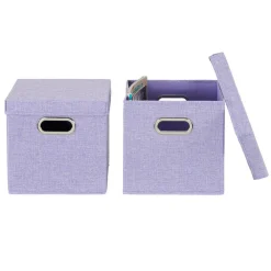 Household Essentials Storage Bins with Lids, 2ct.