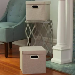 Household Essentials Storage Bins with Lids, 2ct.