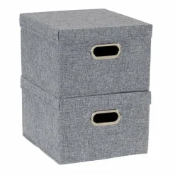 Household Essentials Storage Bins with Lids, 2ct.