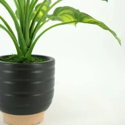 House of Silk Flowers 23" Small Faux Hosta in Matte Black & Terracotta Ceramic Planter