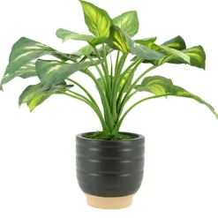 House of Silk Flowers 23" Small Faux Hosta in Matte Black & Terracotta Ceramic Planter