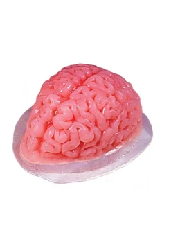 Human Brain Shaped Jelllo Gelatin Mold Decoration