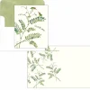 Hummingbirds and Ferns Thank You