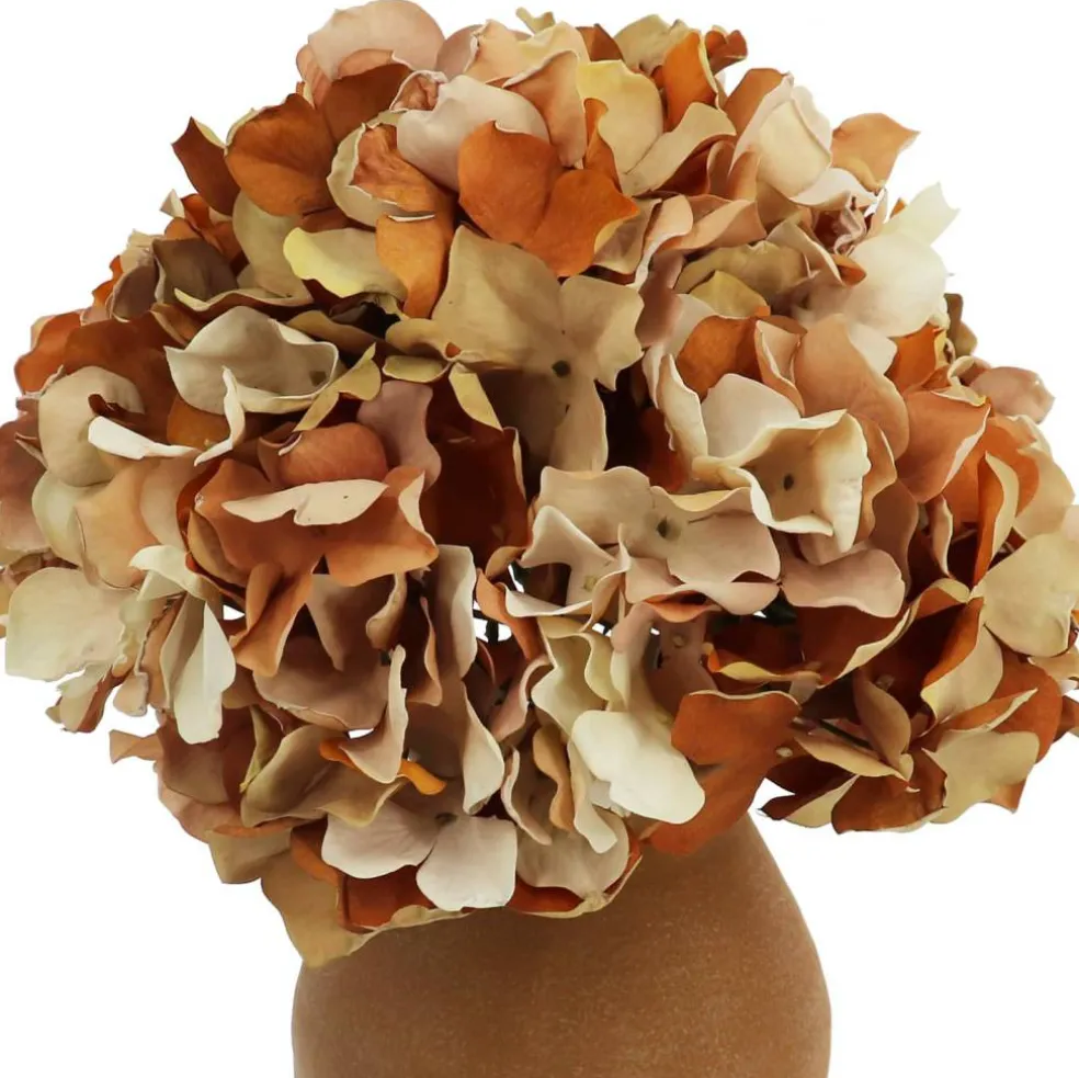 16.5" Hydrangea Arrangement in Ceramic Vase by Ashland®