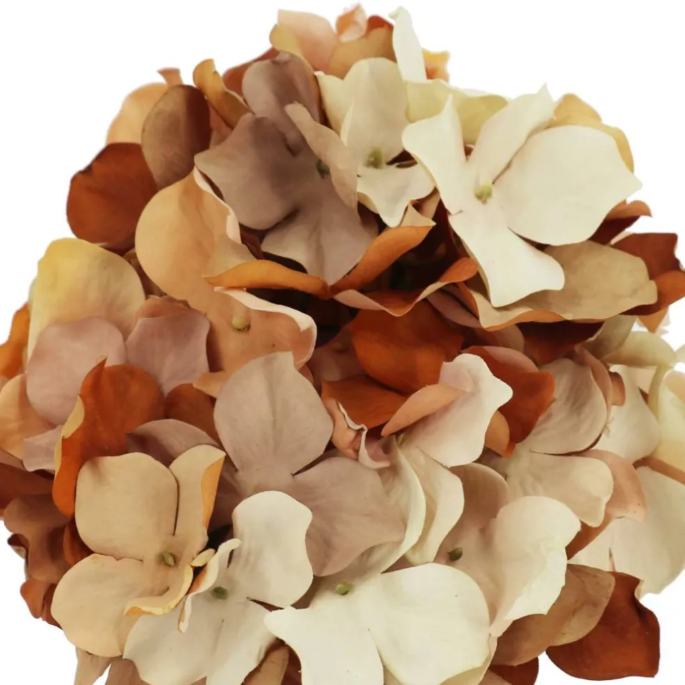 9" Hydrangea Arrangement in Ceramic Vase by Ashland®