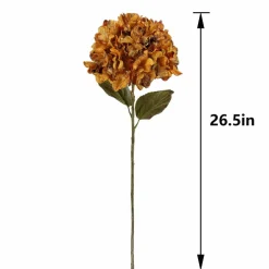 26.5