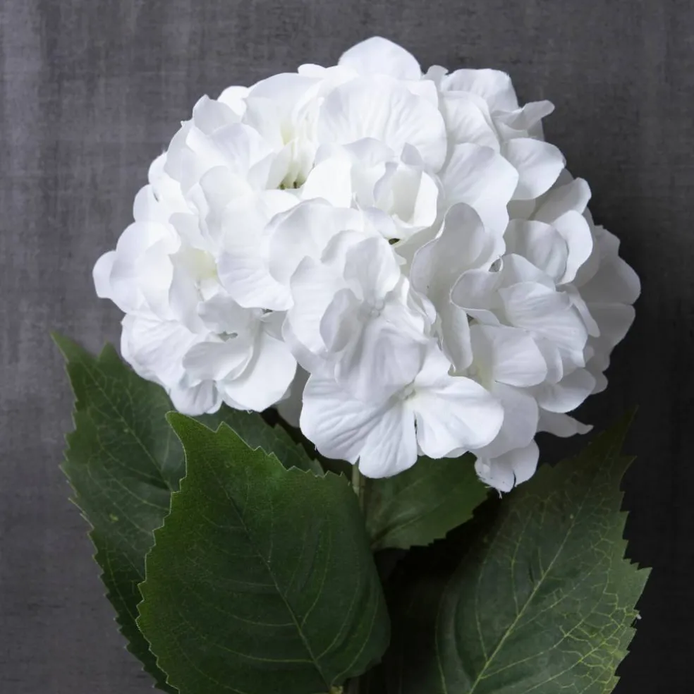 Hydrangea Stem by Ashland® Classic Traditions™