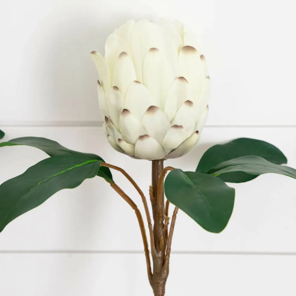 26in. Artificial King Protea Flower Stems - Set of 4
