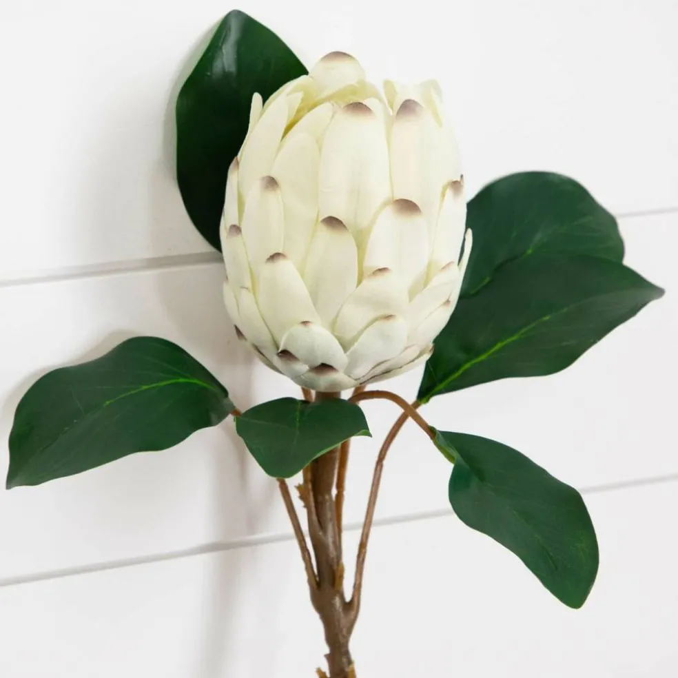 26in. Artificial King Protea Flower Stems - Set of 4