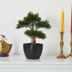 15in. Cedar Bonsai with Black Square Planter