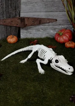 31-Inch Crocodile Skeleton Decoration