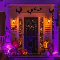 24 Inch Halloween Wreath with Lights – Pre-Lit Roses, Crow, Spider Web & Ball Ornaments | Collapsible LED Front Door Wreath for Indoor, Wall, Table Centerpiece & Holiday Halloween Decor