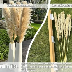55" inch Scarcity Natural Pampas Grass Decor Tall, pompas Grass, Tall Pampas Grass for Wedding, Party, Farmhouse, Boho Home Decor