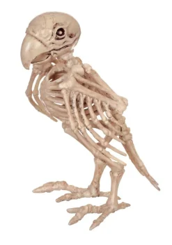 7.5-Inch Skeleton Parrot Decoration