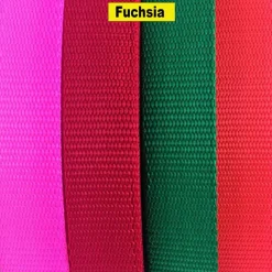 1 Inch Wide Nylon Webbing Heavy Duty Strap Material