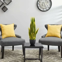 26in. Potted Sansevieria Plant