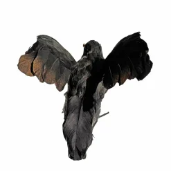 8.5" Iridescent Black Flying Crow Décor by Ashland®