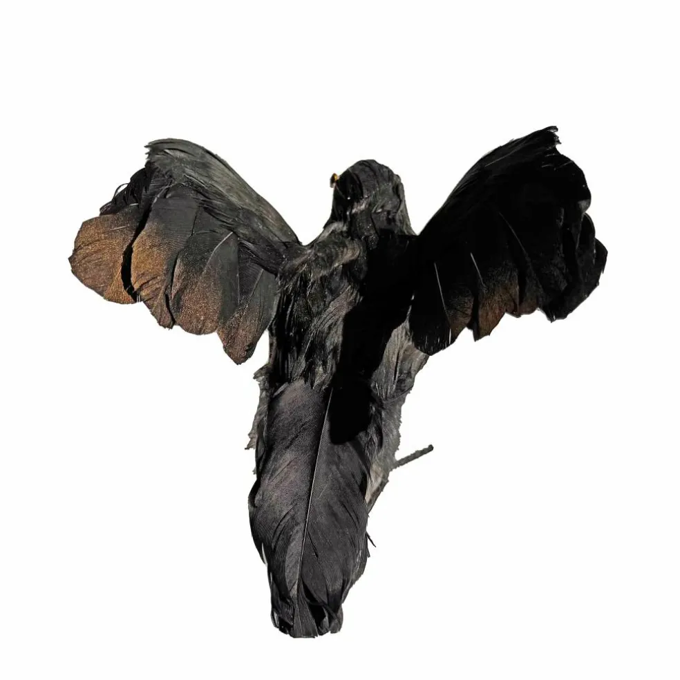 8.5" Iridescent Black Flying Crow Décor by Ashland®