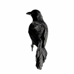 10.25" Iridescent Black Sitting Crow Décor by Ashland®
