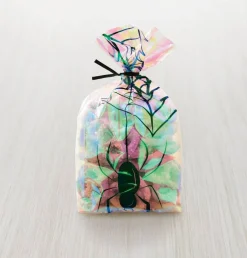 Iridescent Treat Bags