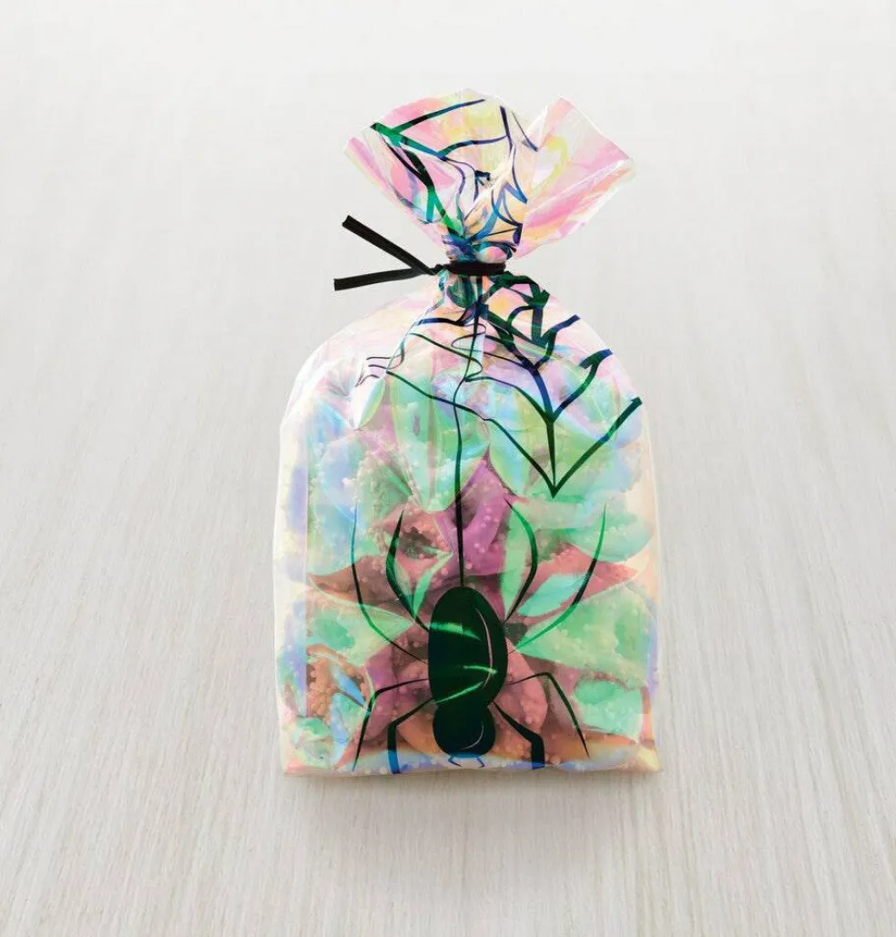 Iridescent Treat Bags