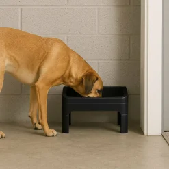 IRISĀ® Black Adjustable Elevated Pet Feeder, 2ct.