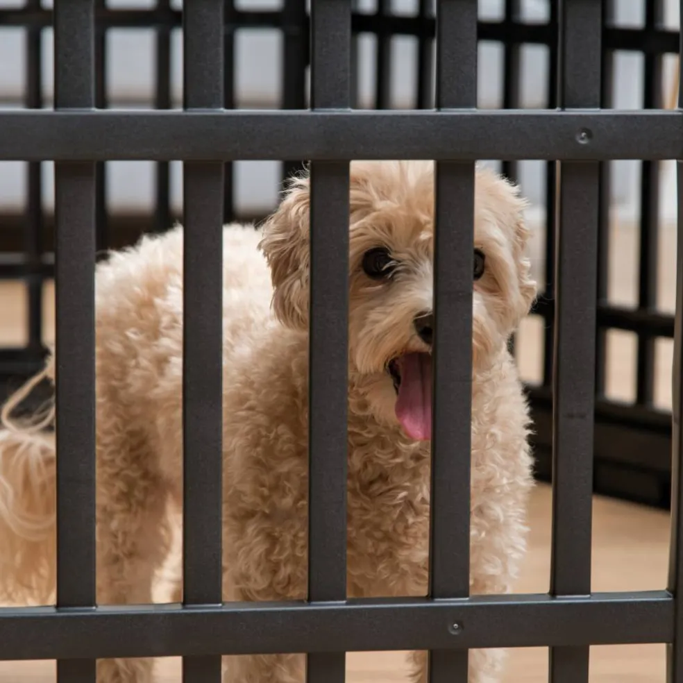 IRIS 4-8Panel 24/34"H Plastic Pet Playpen without Door