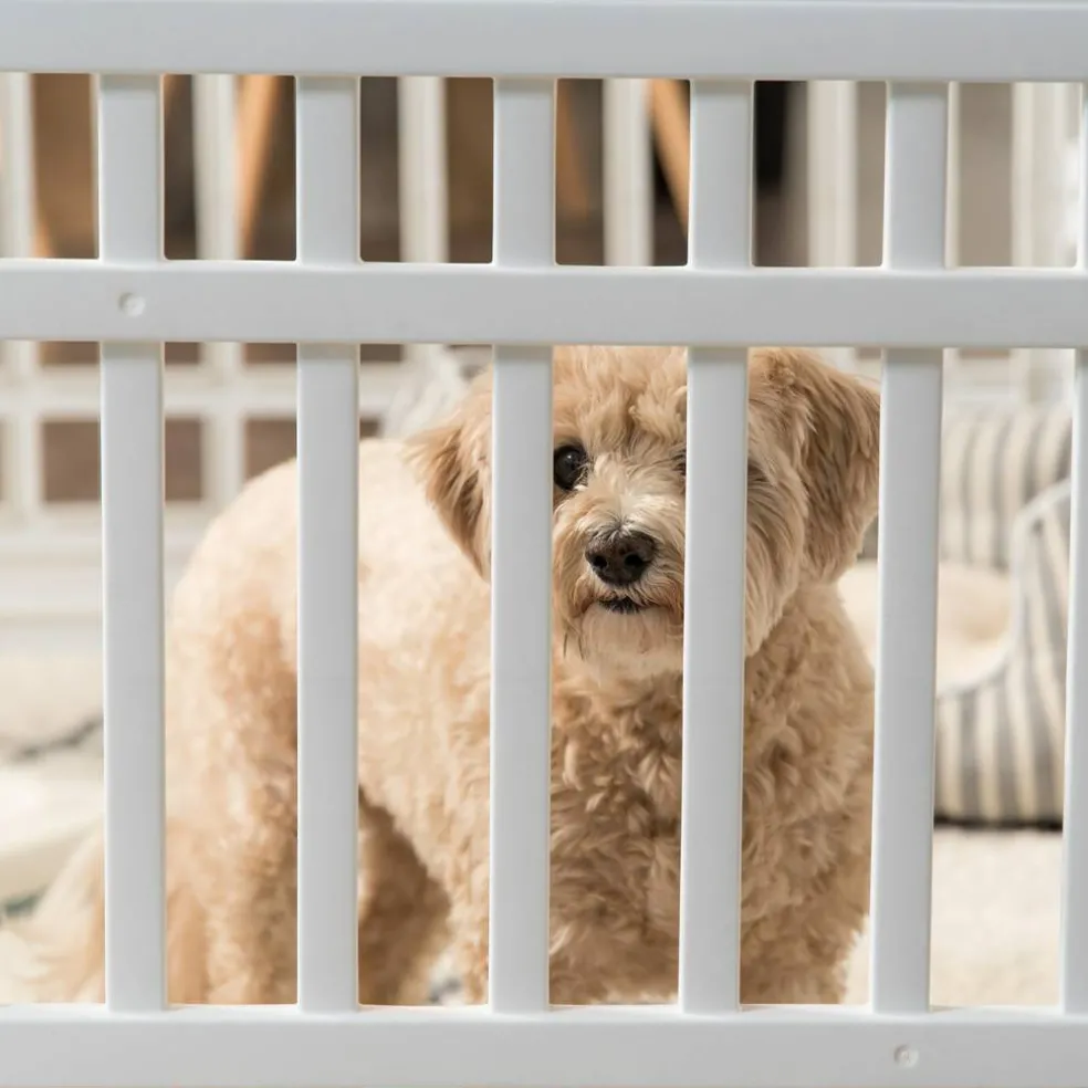 IRIS 4-8Panel 24/34"H Plastic Pet Playpen without Door