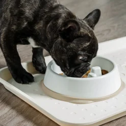 IRIS USA 2Cup/4Cup Slow Feeder Dog Bowl for Pets