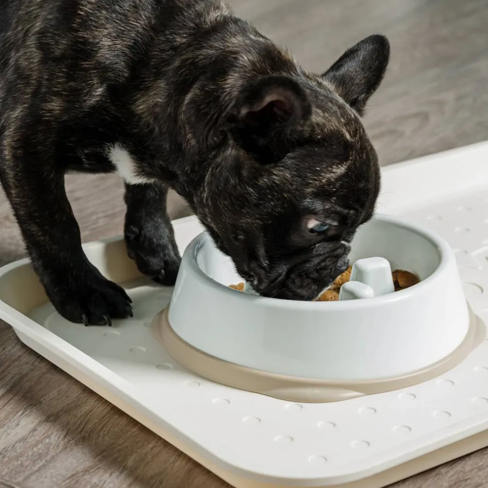 IRIS USA 2Cup/4Cup Slow Feeder Dog Bowl for Pets