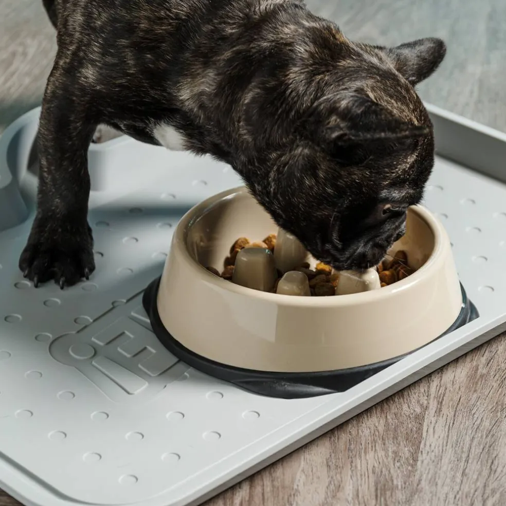 IRIS USA 2Cup/4Cup Slow Feeder Dog Bowl for Pets