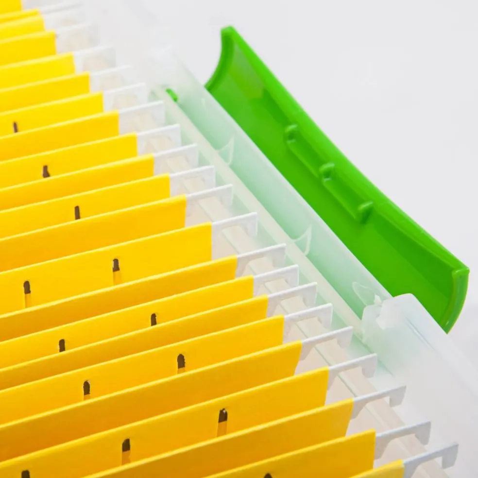 IRIS USA Letter Legal Size Plastic File Box, Home Organizing Storage Container