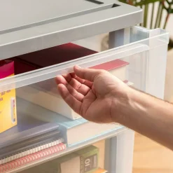 IRIS USA Plastic Storage Drawers Container Organizer for Clothes